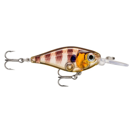 Glassy Gill Uv