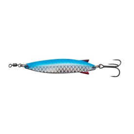 Sardine