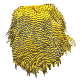 Grizzly Yellow