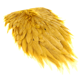 Golden Olive