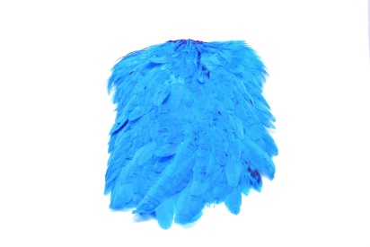 King Fisher Blue