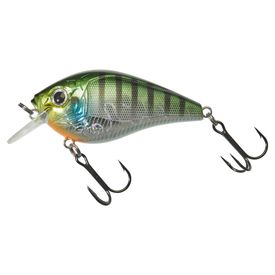 Blue Gill GB