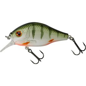 Green Perch