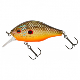 Sun Perch