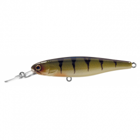Perch