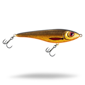 Golden Roach