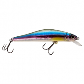 Rainbow Shad