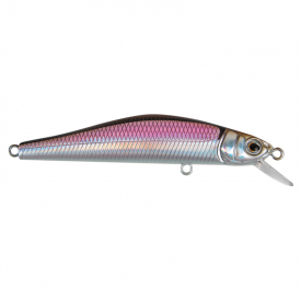 Shimmy Shiner