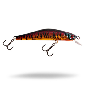 Spice Shad