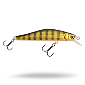 Golden Perch