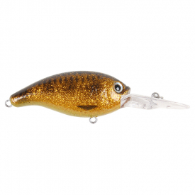 Spotted Bullhead