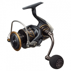 Daiwa 22 Caldia SW 5000D-CXH