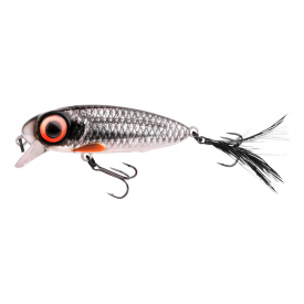 Roach