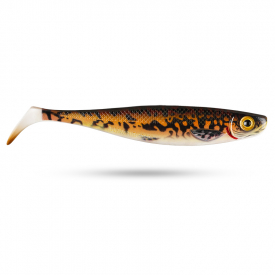 Burbot