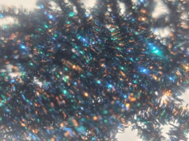 Black Peacock