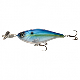 Sexy Shad