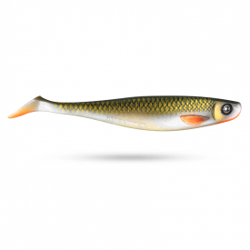 Tennessee Shad