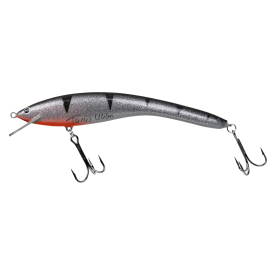 Silver Perch UV