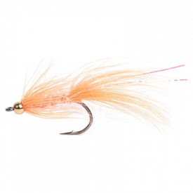 Peach /Peach Or Gold BH