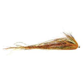 Eelpout