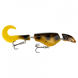 Spotted Bullhead