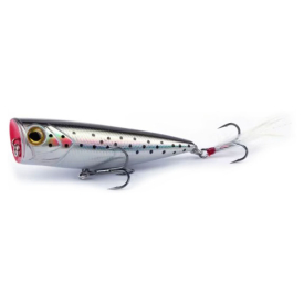 Sea Trout