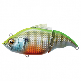 GG Chart Back Gill II