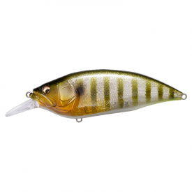 GLX Galaxy Gill