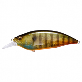 GLX Ito Gill