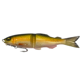 Rainbow Trout