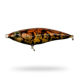 Tånglake