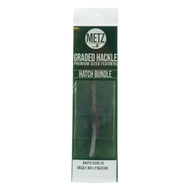 Baetis