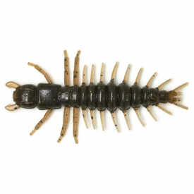 Mudbug