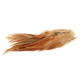 Brown Dyed Natural Brown