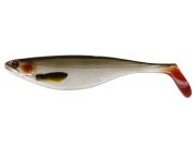 Lively Roach