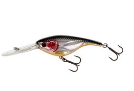 Steel Sardine