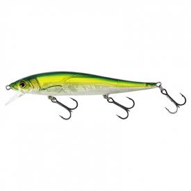 Olive Minnow