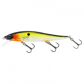 Hot Shad
