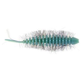 Baby Blue /Chartreuse