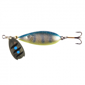 Blue Roach
