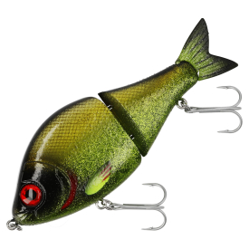 Tench