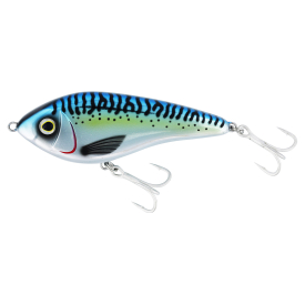 Atlantic Mackerel