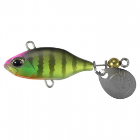 Sight Chart Gill