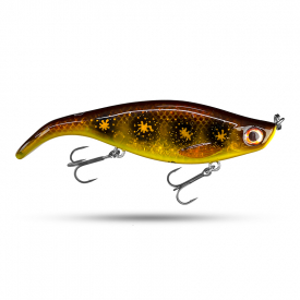 Spotted Bullhead