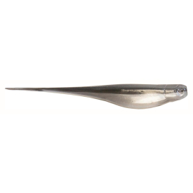 Smelt
