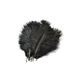 Charcoal Black