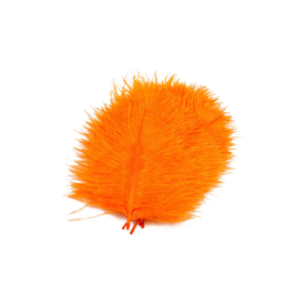 Hot Orange In Flames
