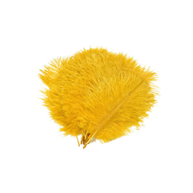 Lion Yellow