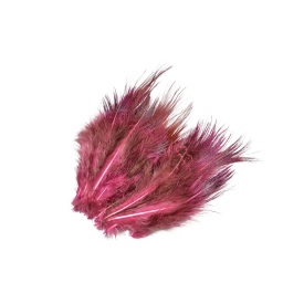 Evil Magenta