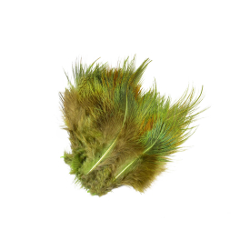 Gaudy Green